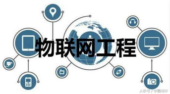 網絡工程與物聯網工程 高考志愿填報的關鍵區別